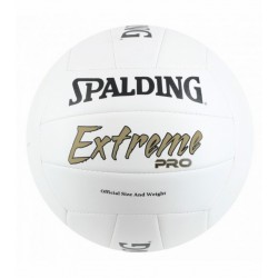 Spalding Extreme Pro...